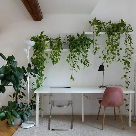 Casa Aposa A 5 Minuti Da Piazza Maggiore *